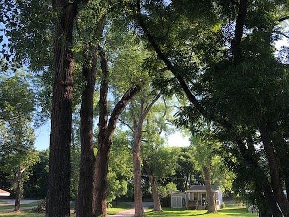 5th image of 424 Campa Pajama Ln