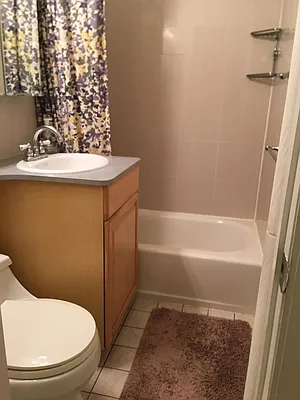 Rented by Manhattan Flats | media 14