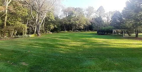 Backyard with our soccer goal