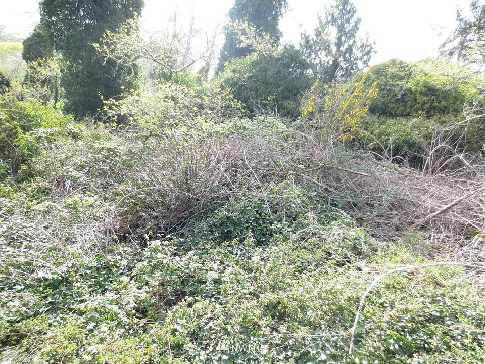 2nd image of 0 Sandridge Road