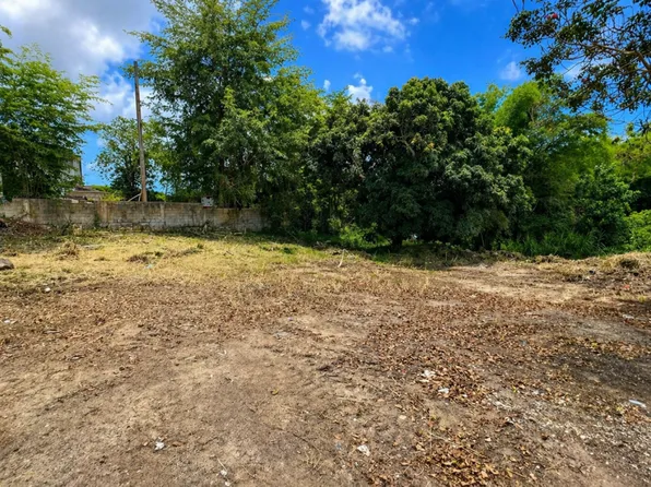 Bo Lirios Sec, Juncos, PR 00777