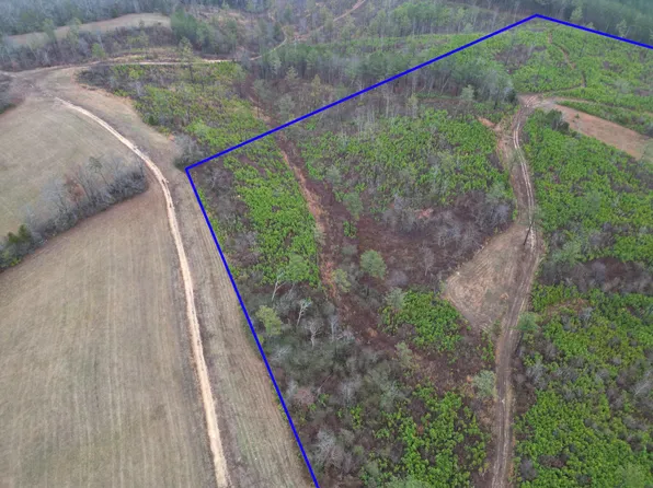 0 Webb Town Rd, Evensville, TN 37332