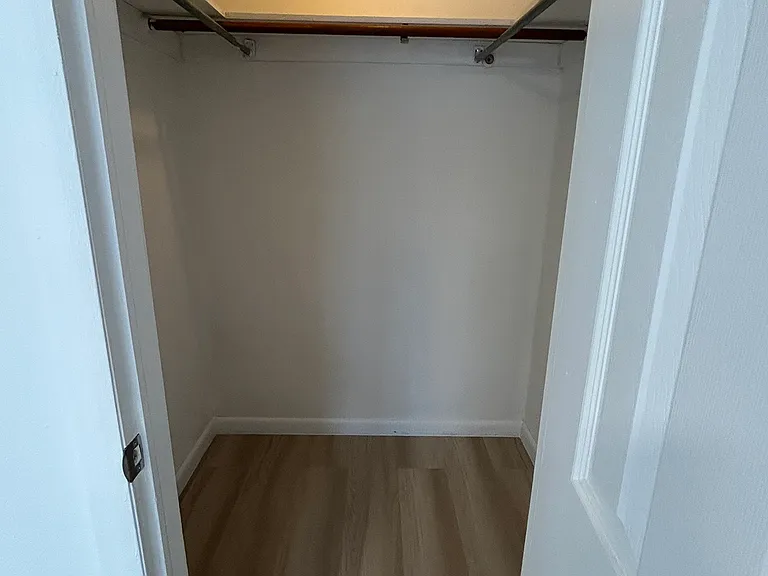 Downstairs Bedroom Closet