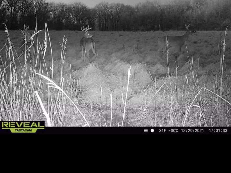 1st image of 20322 N 500th St