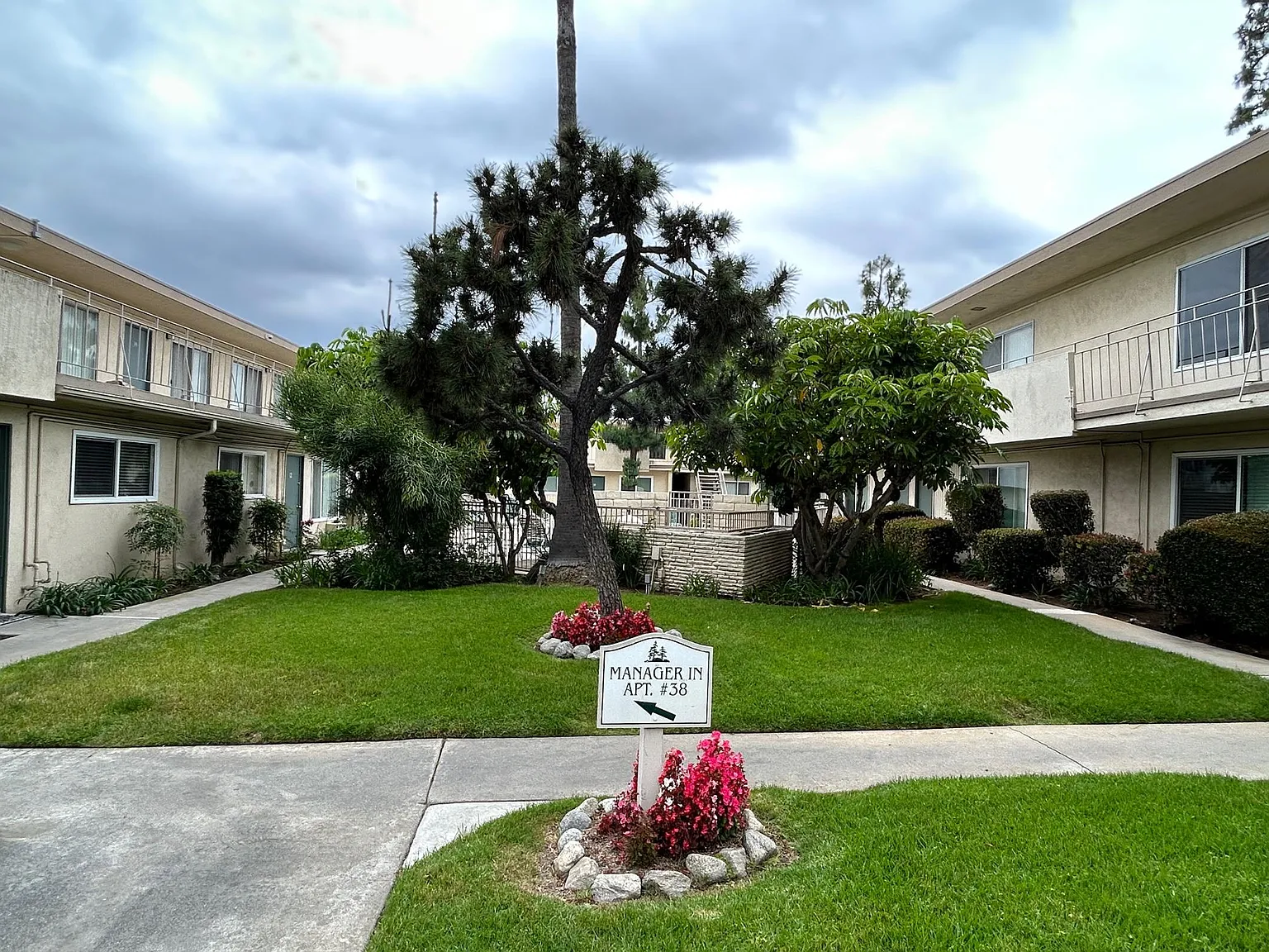 Pine Terrace — Photo 4