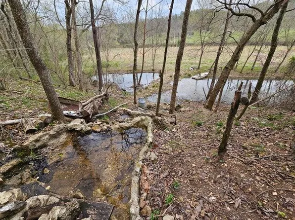 000 Tbd County Road 178-A Tract 3, Dora, MO 65637