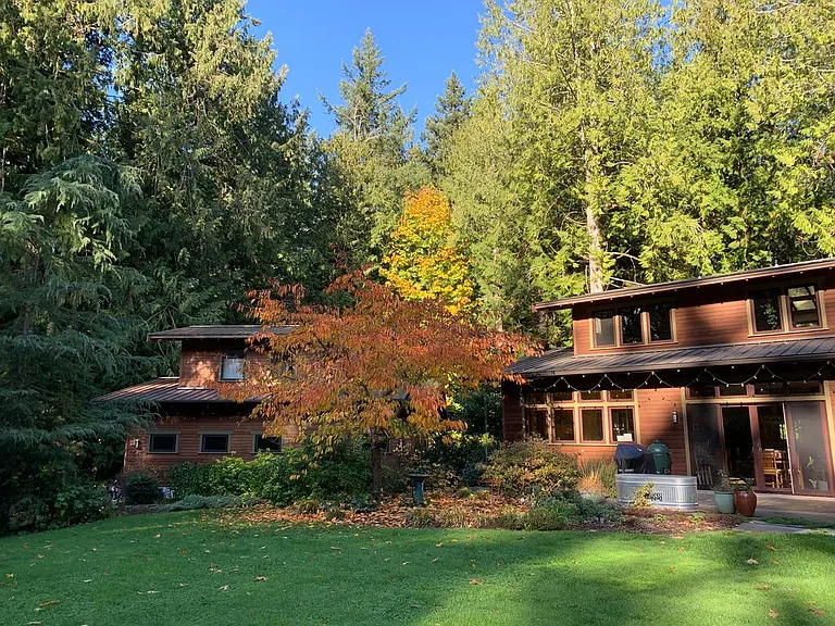 Sunny backyard
