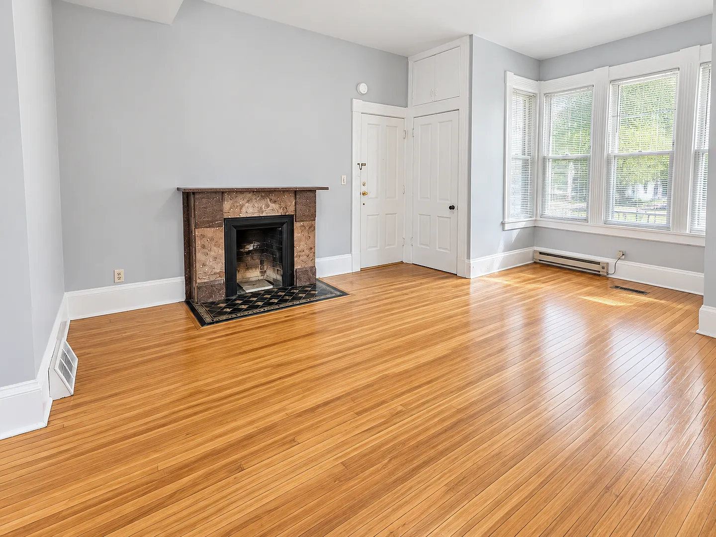 Charming 1 Bed, 1 Bath Apartment Downtown Madison — Photo 4