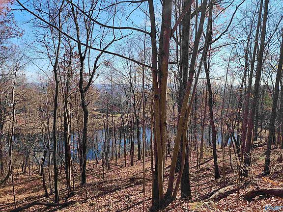 4th image of 900 County Road 839