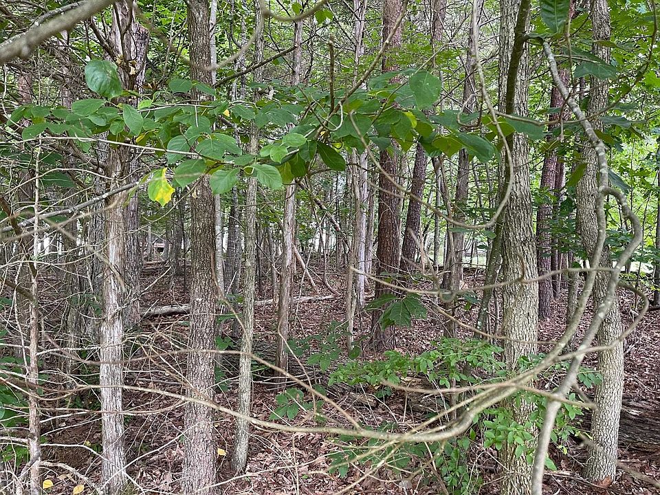 2nd image of LOT 44 Elk River Ct Lot 44