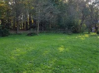 63 Prospect Ave, Springville, NY 14141