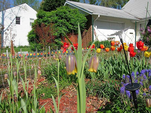Front yard flower garden