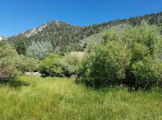 51 Raymond Ln, June Lake, CA 93529