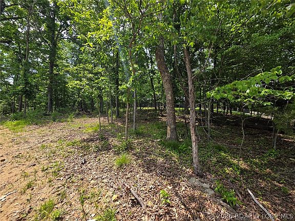 5th image of 1255 Spring Creek Dr