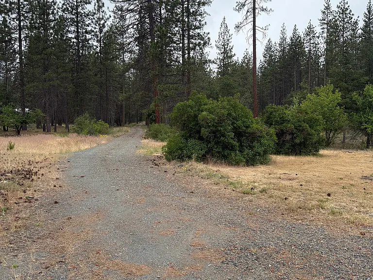 13536 Quartz Valley Rd — Photo 49