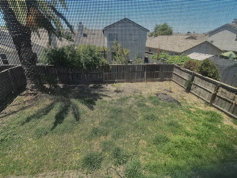 5317 Buckwood Way — Photo 43
