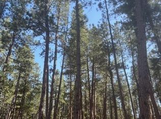 560 Princess Rd, Cripple Creek, CO 80813