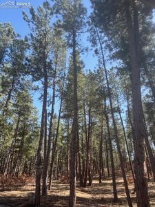 560 Princess Rd, Cripple Creek, CO, 80813