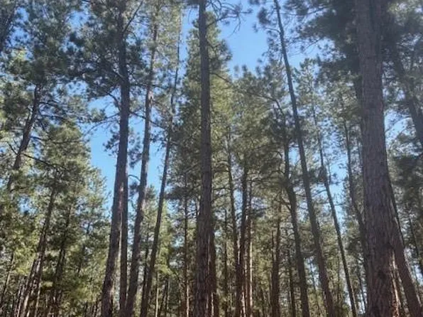 560 Princess Rd, Cripple Creek, CO 80813