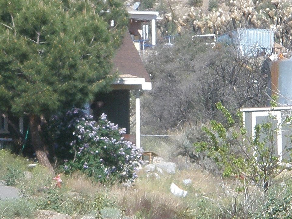2nd image of 4306 Mountain Lilac Dr