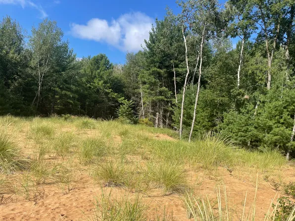 6367 N Dune Grass Trl, Hart, MI 49420