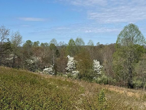 4th image of 3233 Tick Ridge Rd
