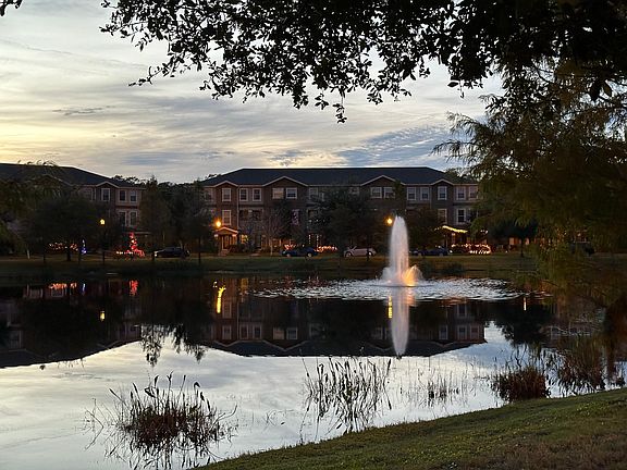 4th image of 10069 Town Lake Dr