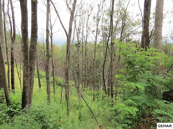 5th image of 58 Deer Path Ln #58