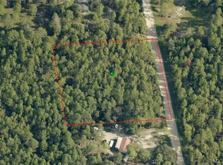 6098 N Velveteen Point, Dunnellon, FL 34433