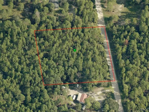 6098 N Velveteen Point, Dunnellon, FL 34433
