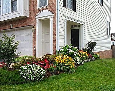 Front yard