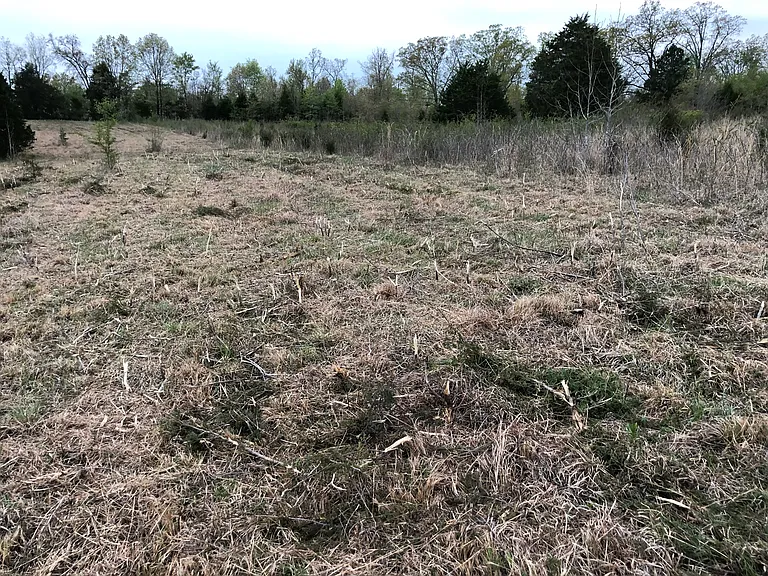 940 County Road 534 — Photo 19