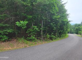 0 Shiners Run Way Dr, Newport, TN 37821