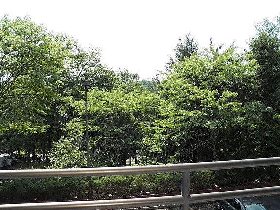 View from Balcony