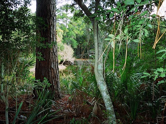 View near back of lot