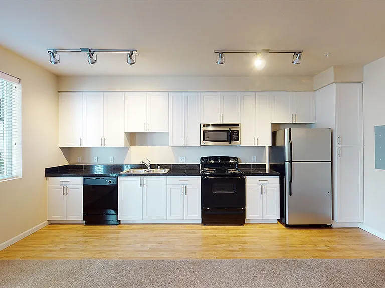 Apartment kitchen with wood-style flooring.