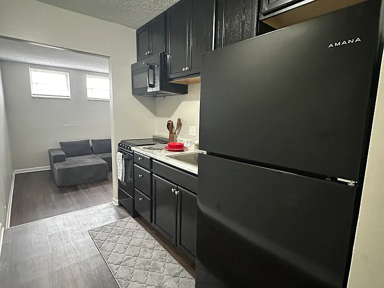 807 Kitchen -brand new appliances, sleek new cabinets, and new plank floor