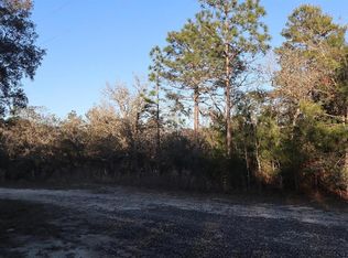 10078 N Bye Point, Dunnellon, FL 34433