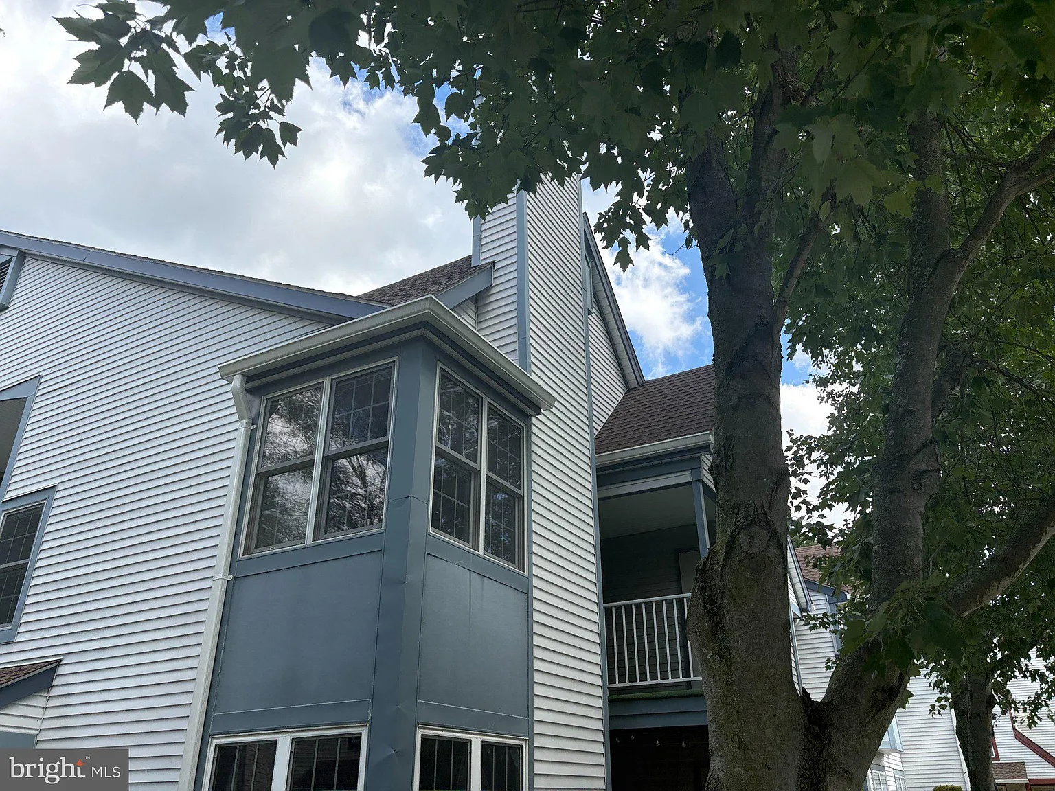 2 bed, 2.0 bath, 1100 sqft, $2,700 — Photo 3