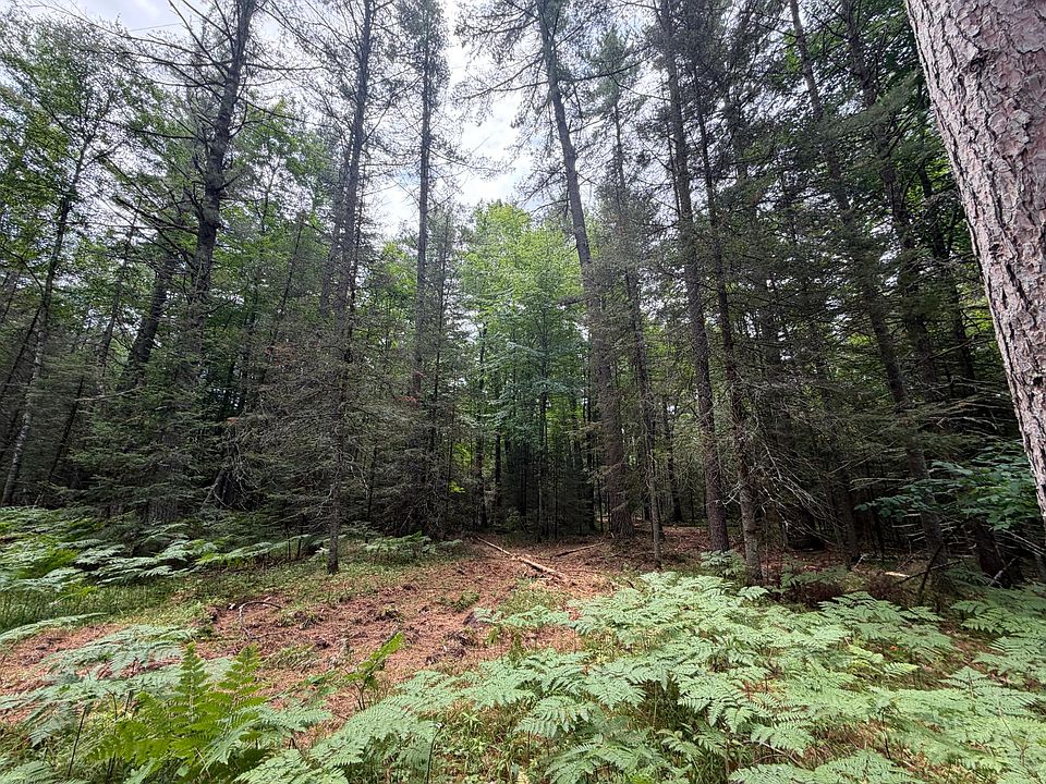 2nd image of LOT 1 Watersmeet Lake Rd