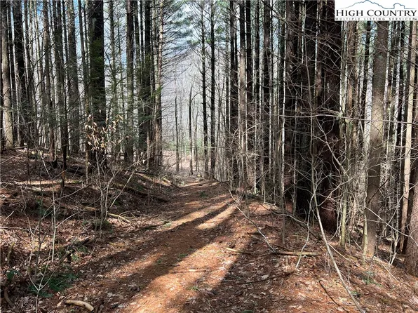 TBD Hickory Heights Drive, West Jefferson, NC 28694