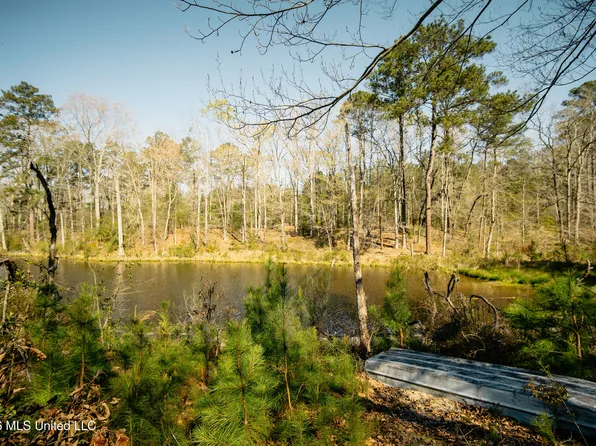 646 Harrisville Rd, Braxton, MS 39044