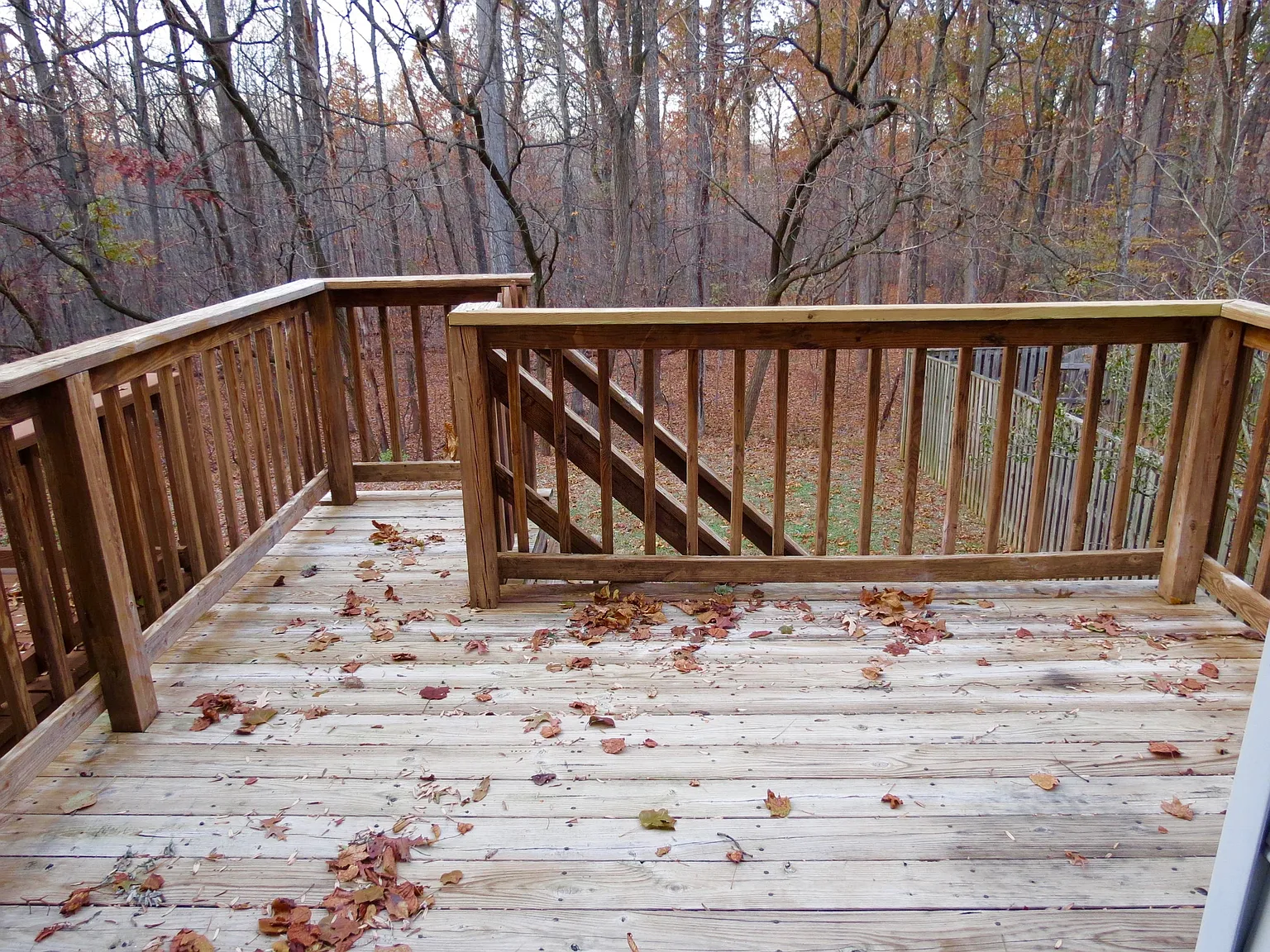 13671 Cedar Creek Lane - 1 — Photo 3