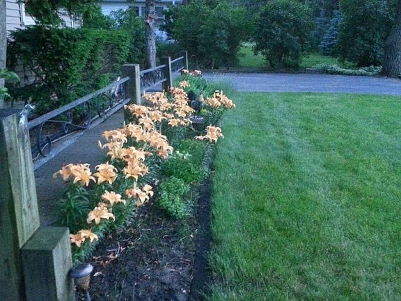 5th image of 5161 Irish Ln