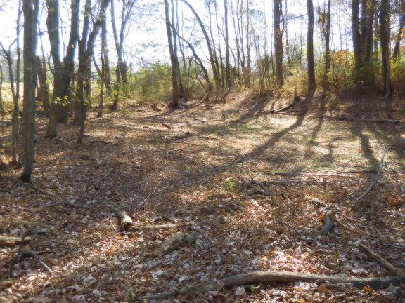2nd image of 2381 County Road 369 N