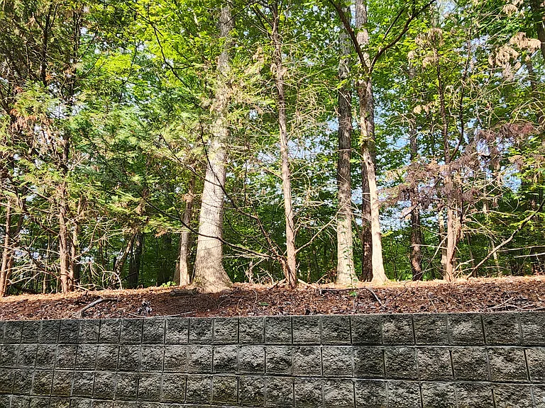 Patio area
