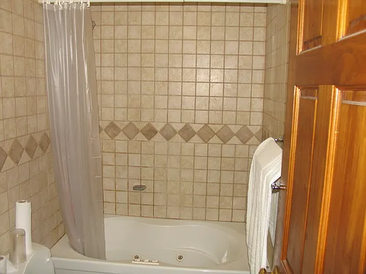 Rented by Rapid Realty Cobble Hill | media 46