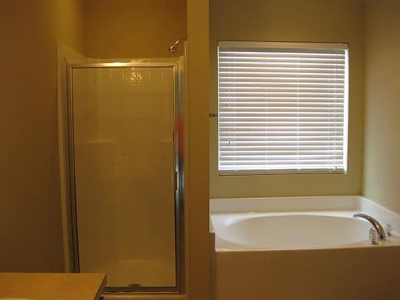 Master shower and tub