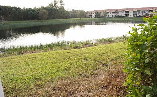 1st image of 10121 Villagio Palms Way Unit 103