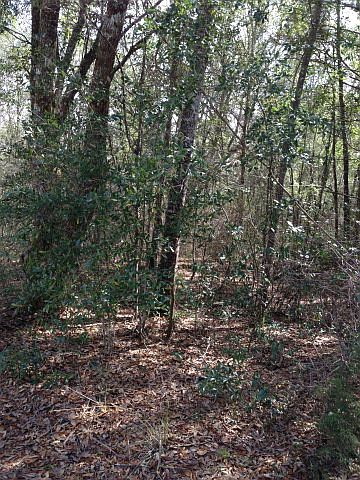 2nd image of Windsor Ln